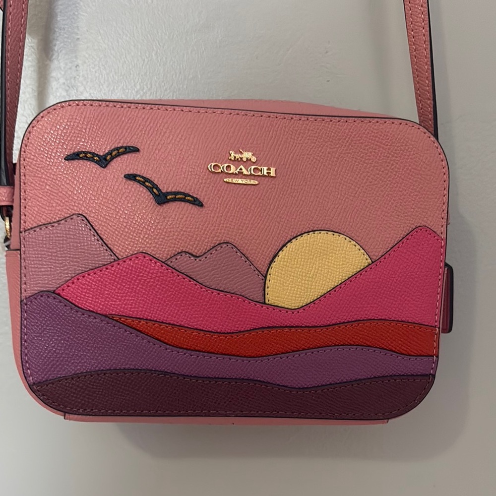 Coach Pink and Purple Crossbody Bag with Scenic Design